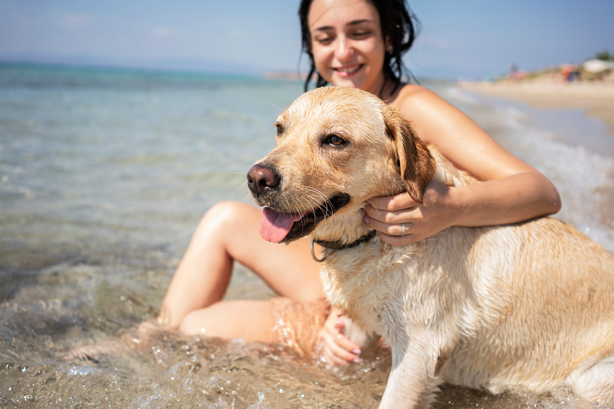 Hund mit Frau im Meeressaum
