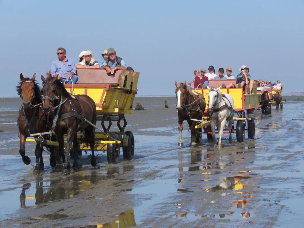 Wattwagen im Watt vor Duhnen