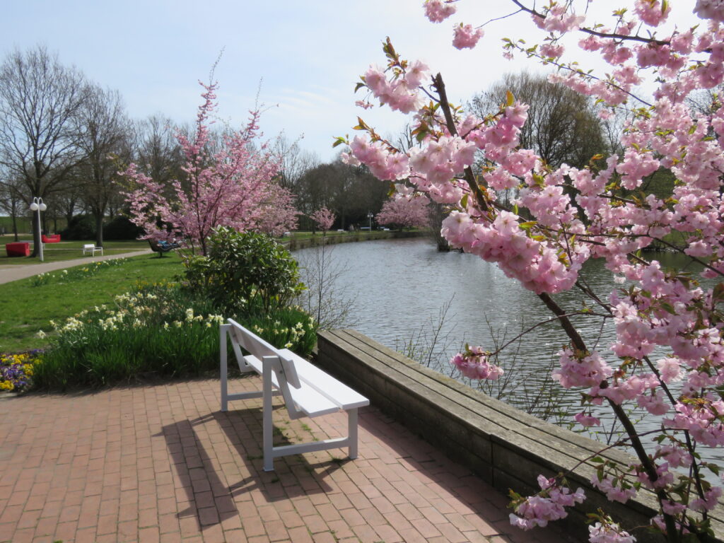 Der Kurpark in Döse mit See