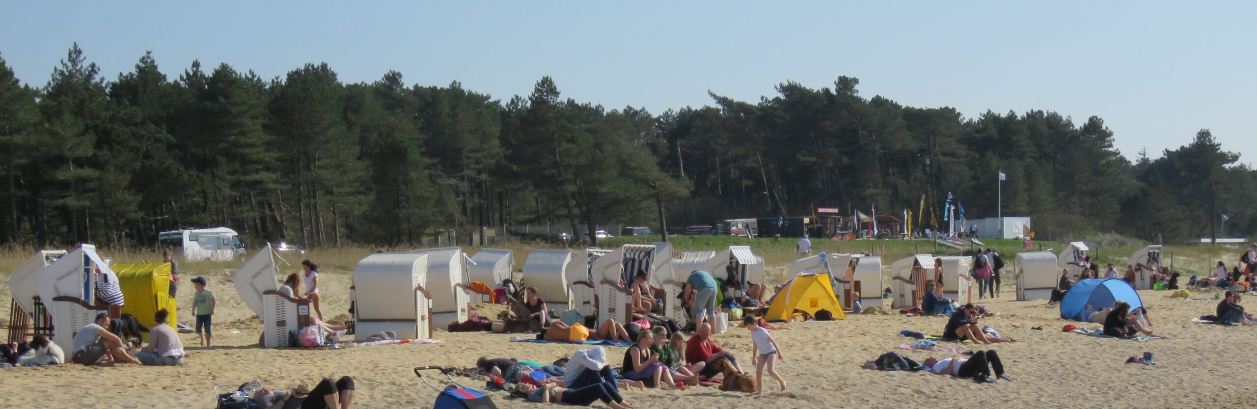 Sahlenburger Strand mit Wernerwald