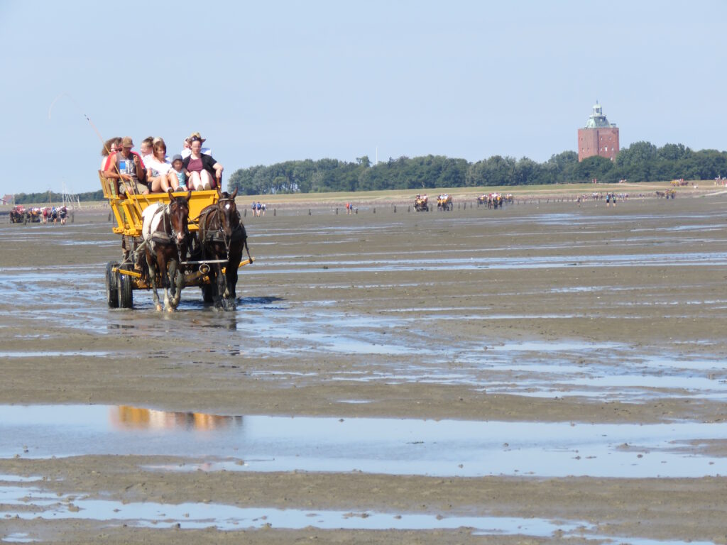 Wattenmeer vor Cuxhaven Sahlenburg mit Wattwagen